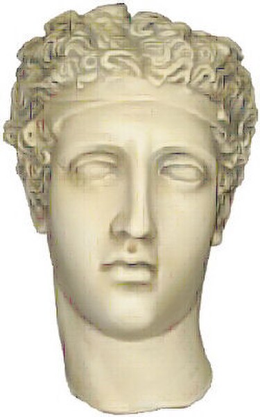Plaster Cast Perseus Wall Mask Drawing Study